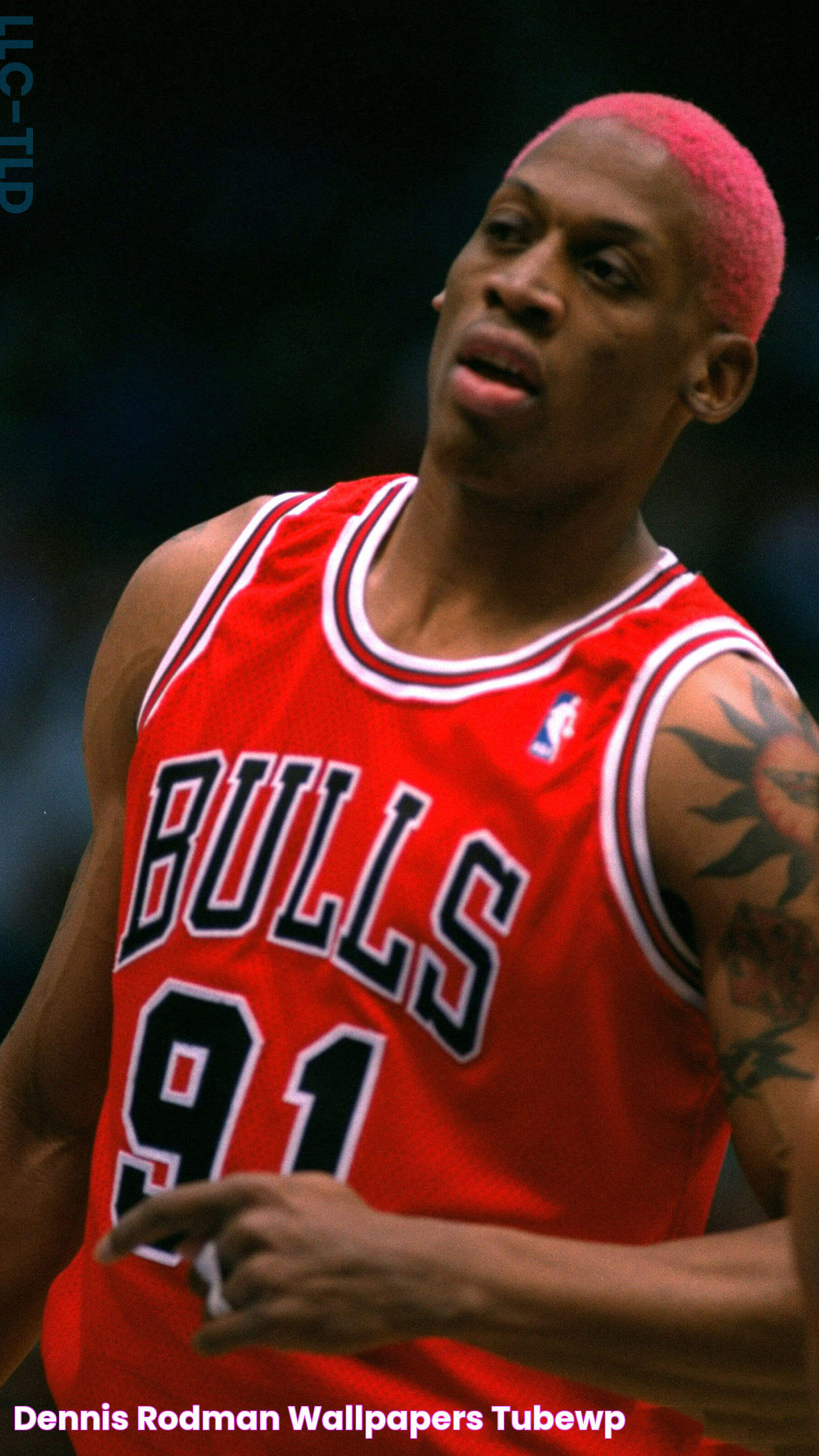 Dennis Rodman Wallpapers TubeWP