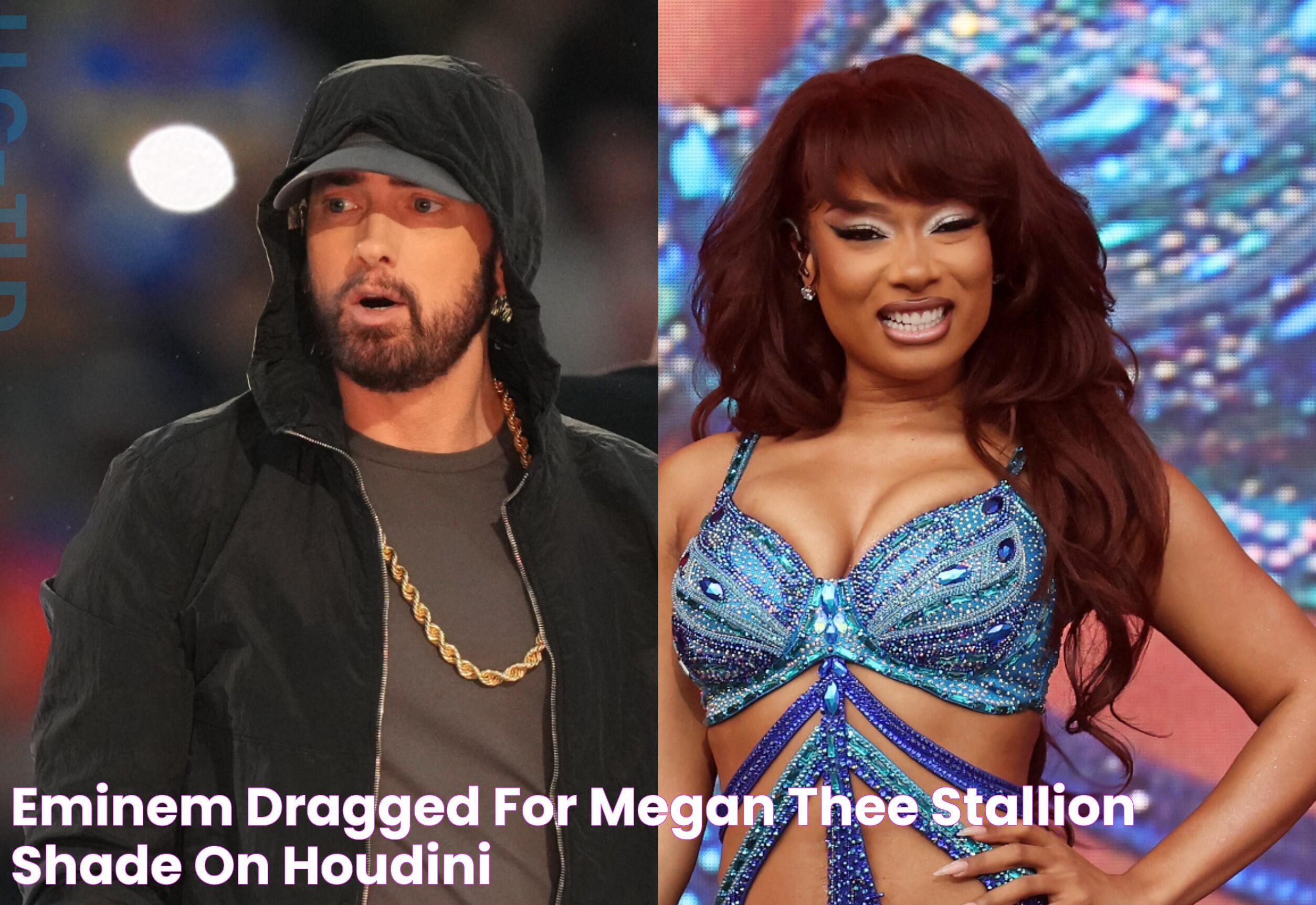 Eminem Dragged For Megan Thee Stallion Shade On 'Houdini'