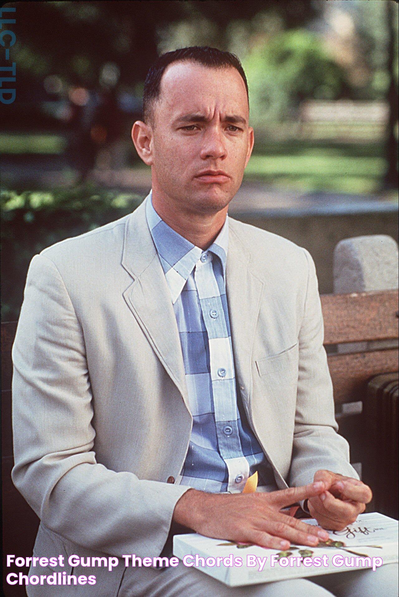 The Timeless Tunes Of Forrest Gump: A Musical Retrospective