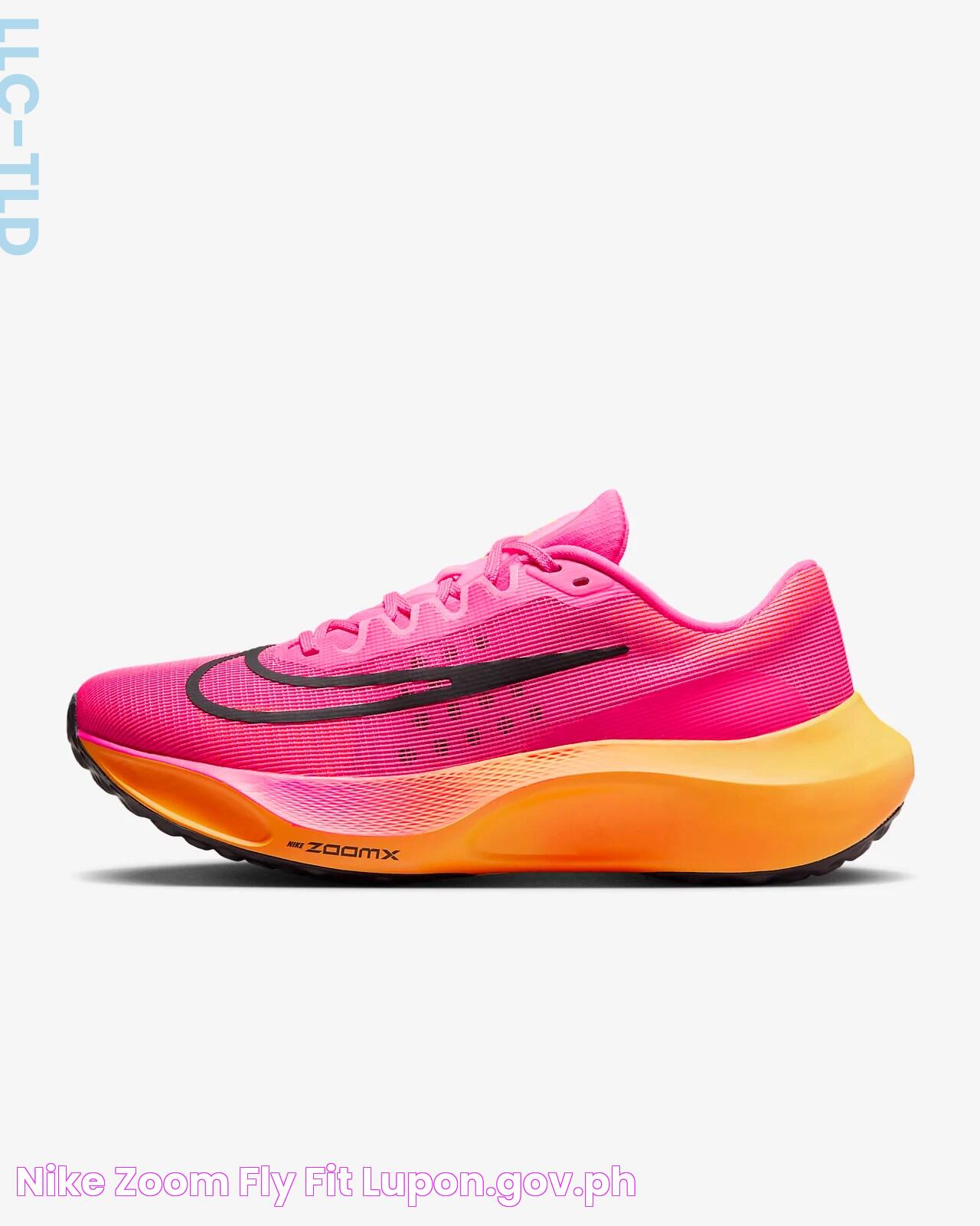 Nike Zoom Fly Fit lupon.gov.ph