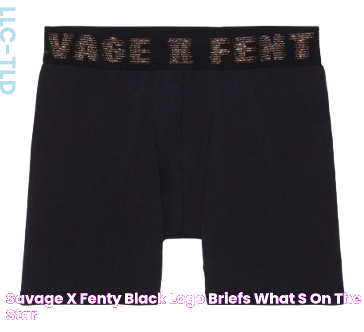 Savage X Fenty Black Logo Briefs WHAT’S ON THE STAR?