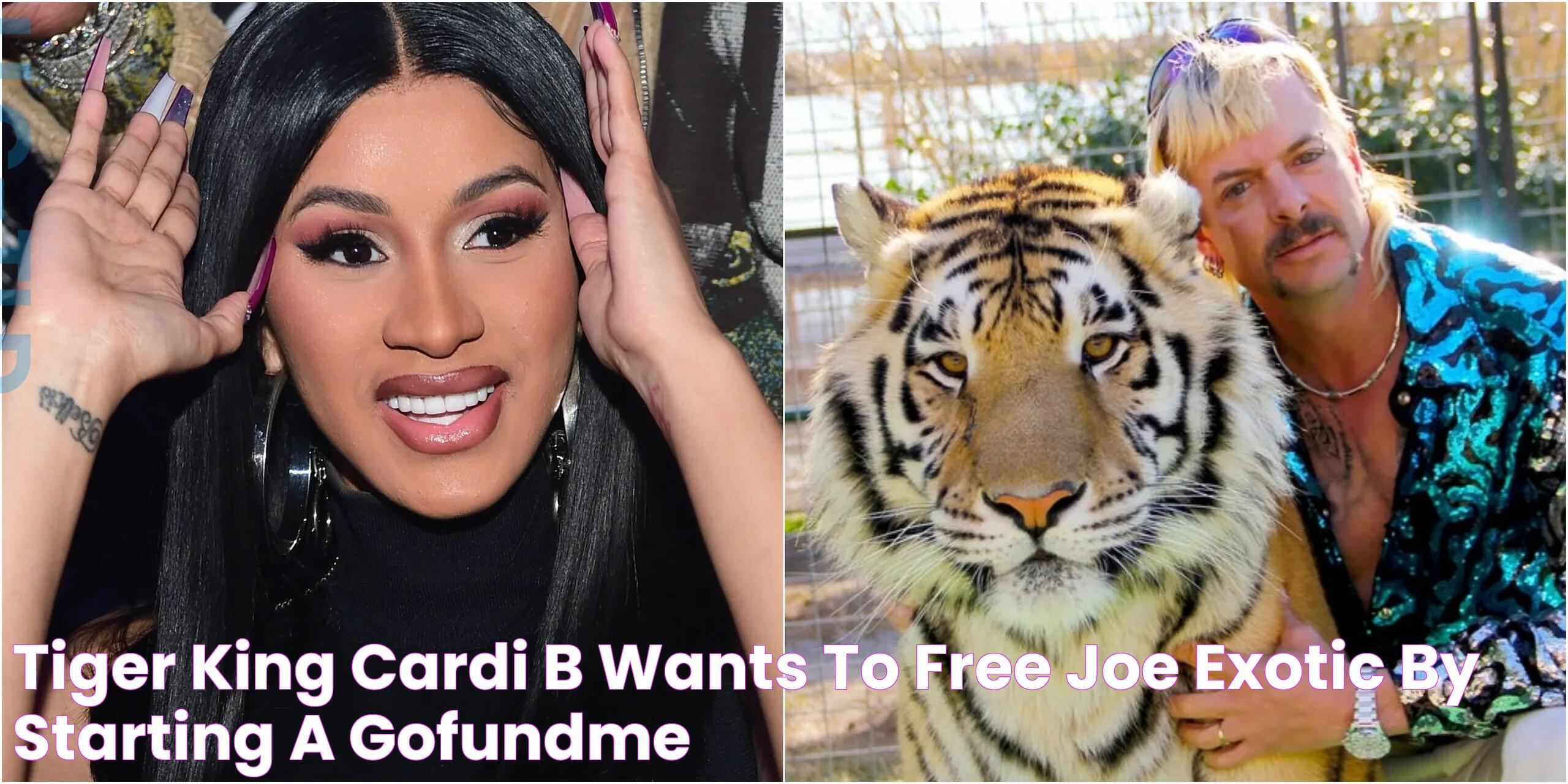 Cardi B Tiger: A Phenomenon In The Entertainment Industry