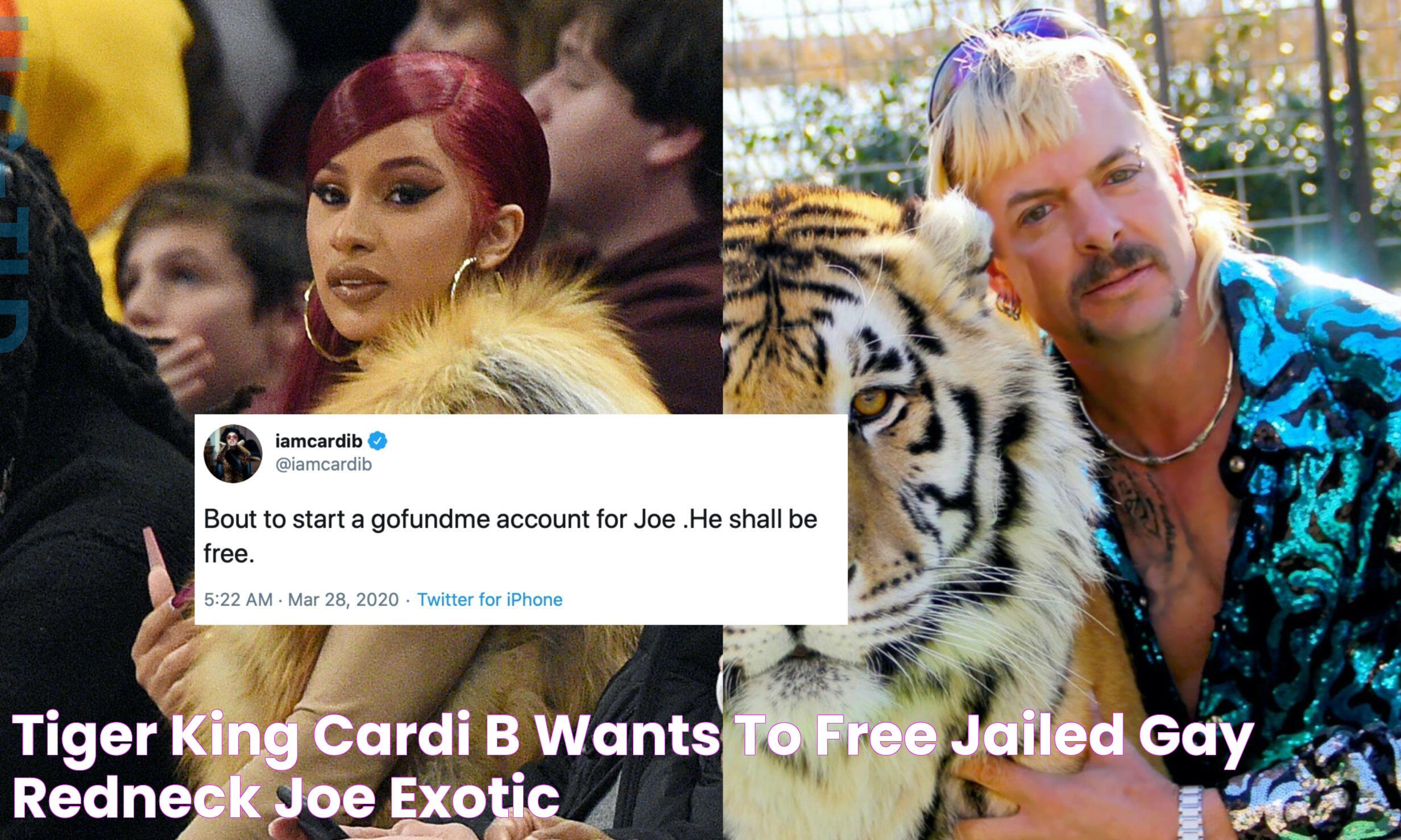 Tiger King Cardi B wants to free jailed gay redneck Joe Exotic