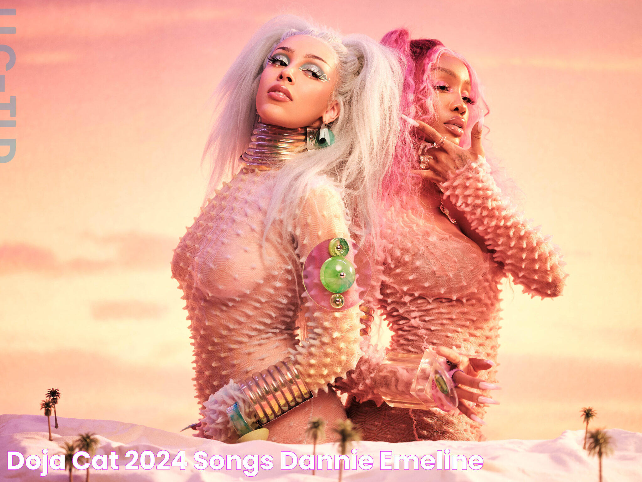 Doja Cat 2024 Songs Dannie Emeline