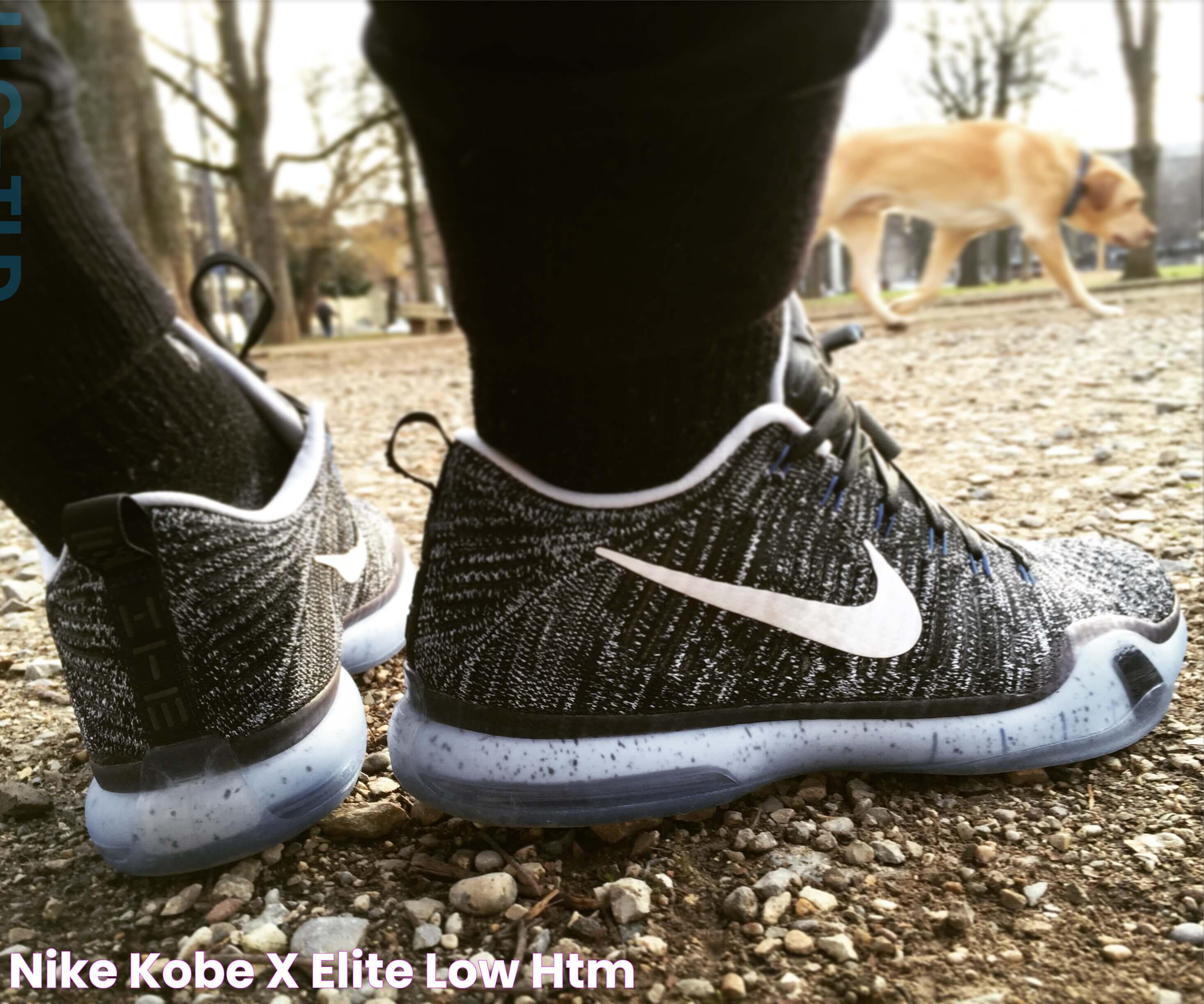 Nike Kobe X Elite Low “HTM”