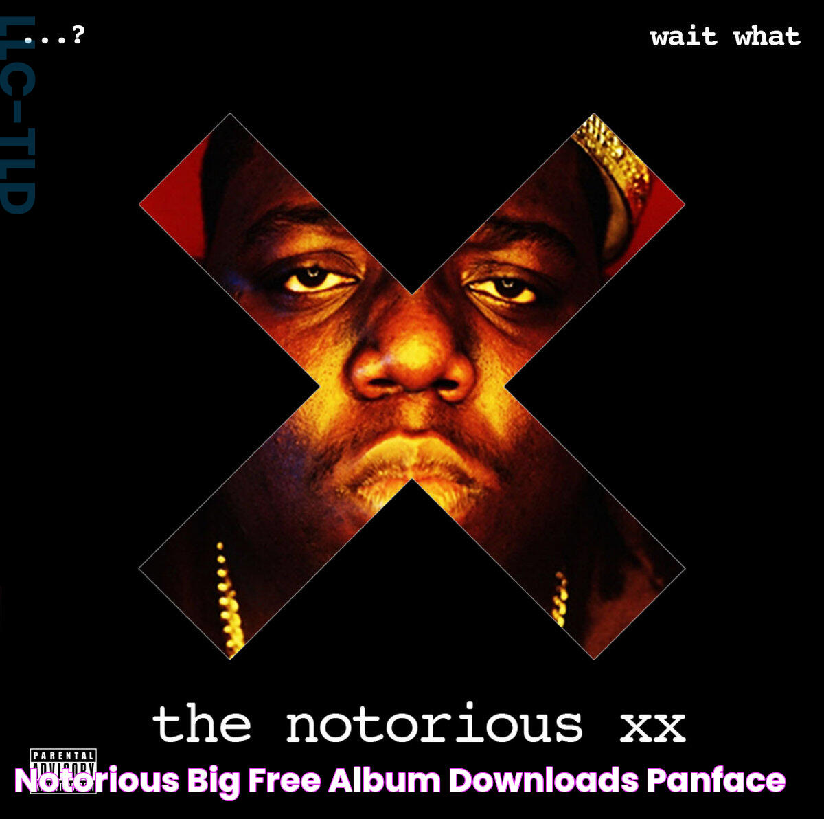 Notorious big free album downloads panface