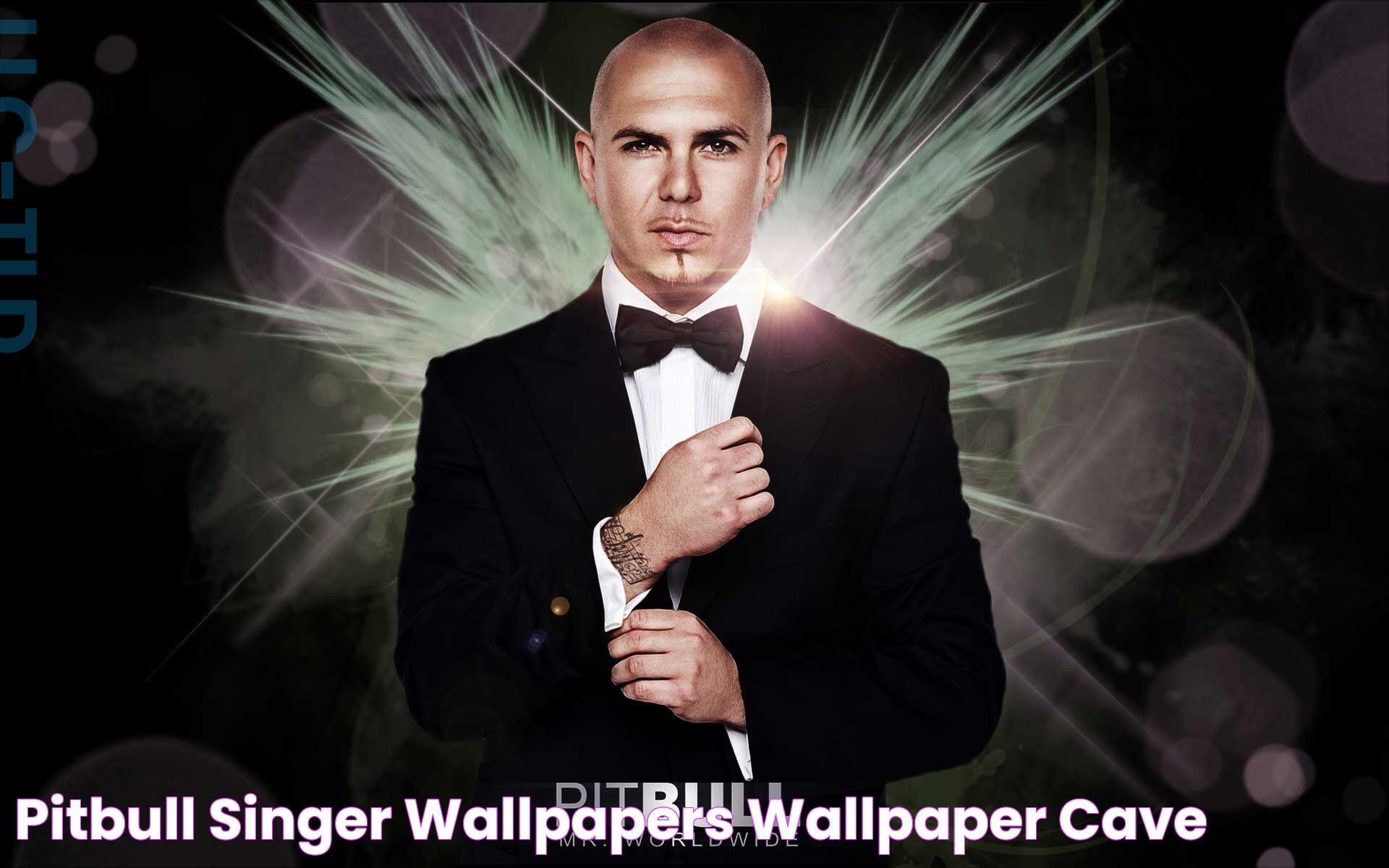 Pitbull Singer Wallpapers Wallpaper Cave