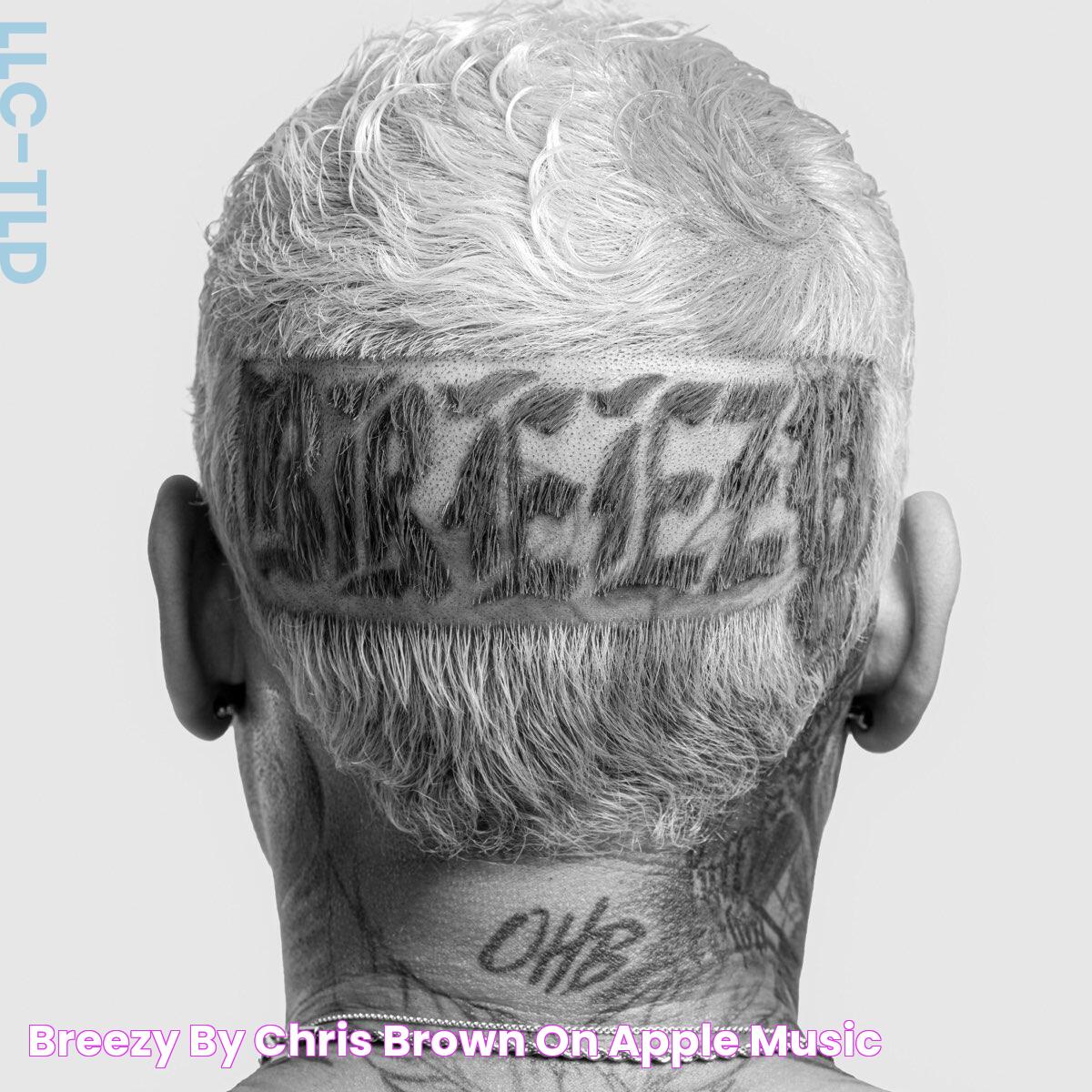 Masterpiece Of Rhythm: Breezy Album's Impact On Music