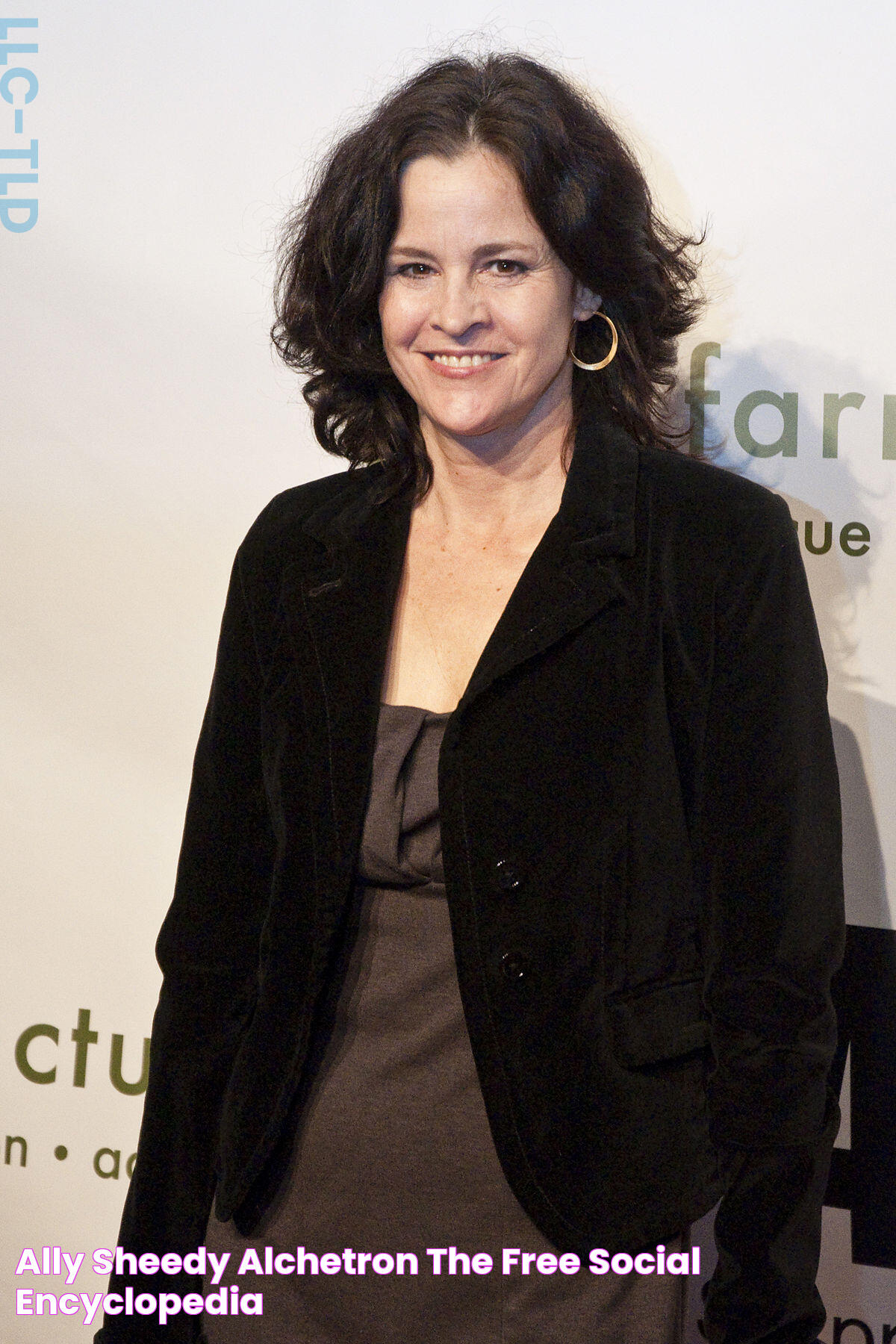 Ally Sheedy Alchetron, The Free Social Encyclopedia