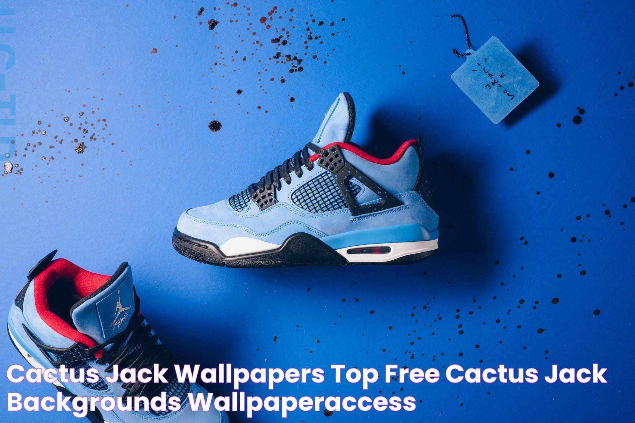 Cactus Jack Wallpapers Top Free Cactus Jack Backgrounds WallpaperAccess