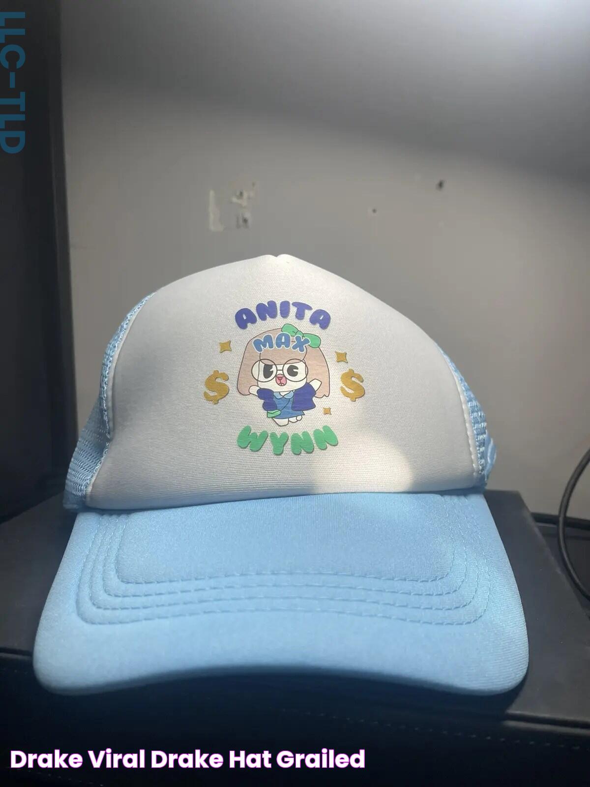 Drake Viral Drake Hat Grailed