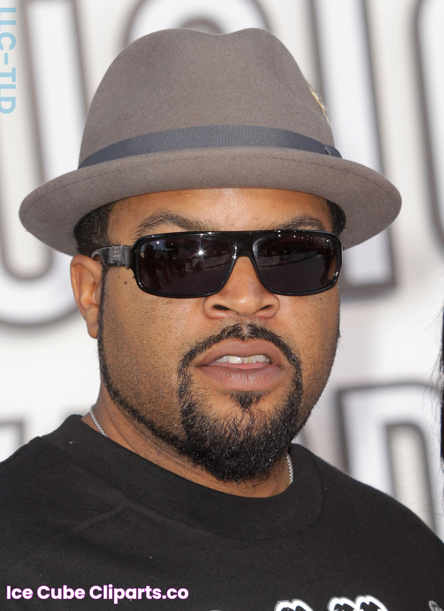 Ice Cube's Hit Track: Back Up To It - A Deep Dive Into Its Musical Brilliance