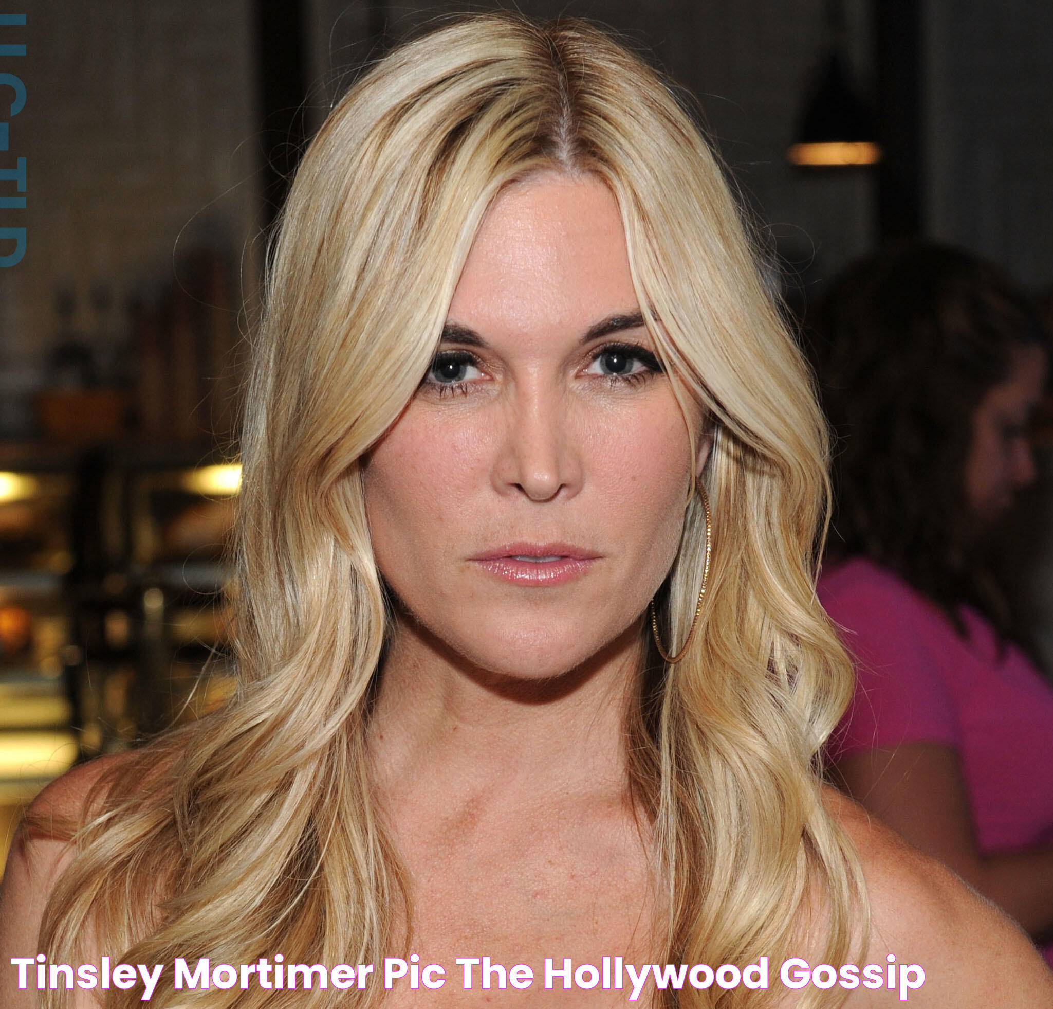 Tinsley Mortimer Pic The Hollywood Gossip