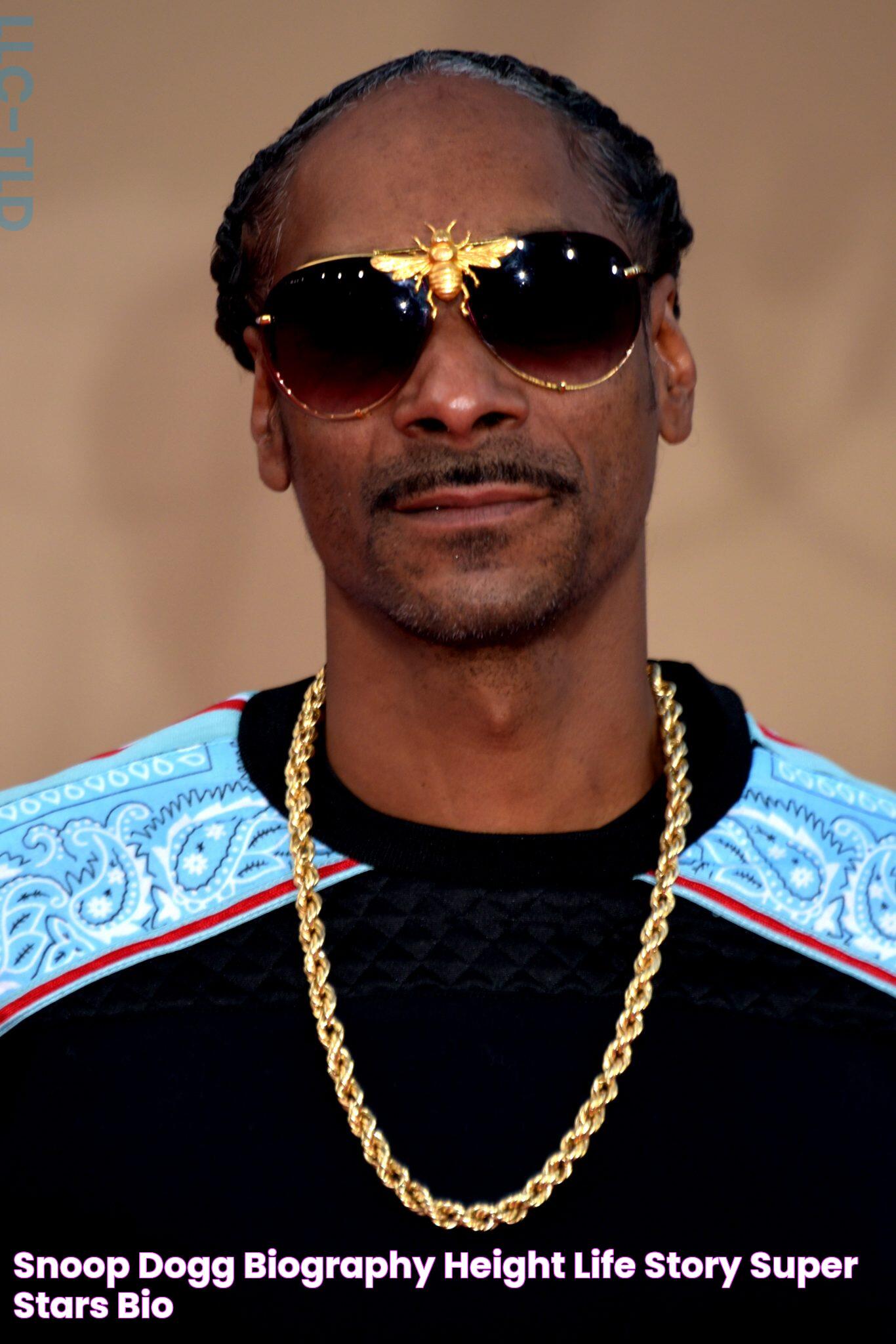 Iconic Rapper Snoop Dogg: Then And Now