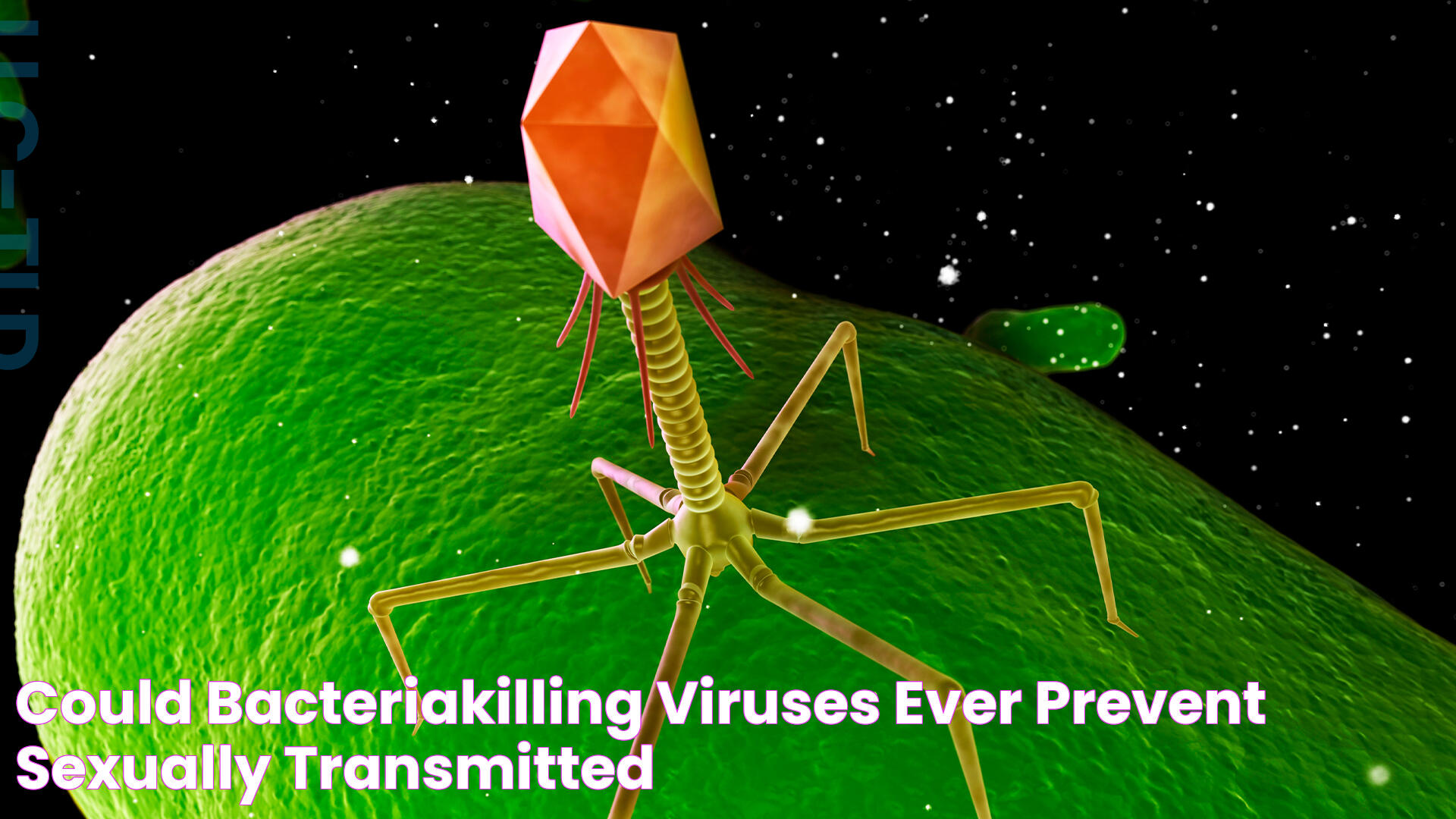 Could bacteriakilling viruses ever prevent sexually transmitted