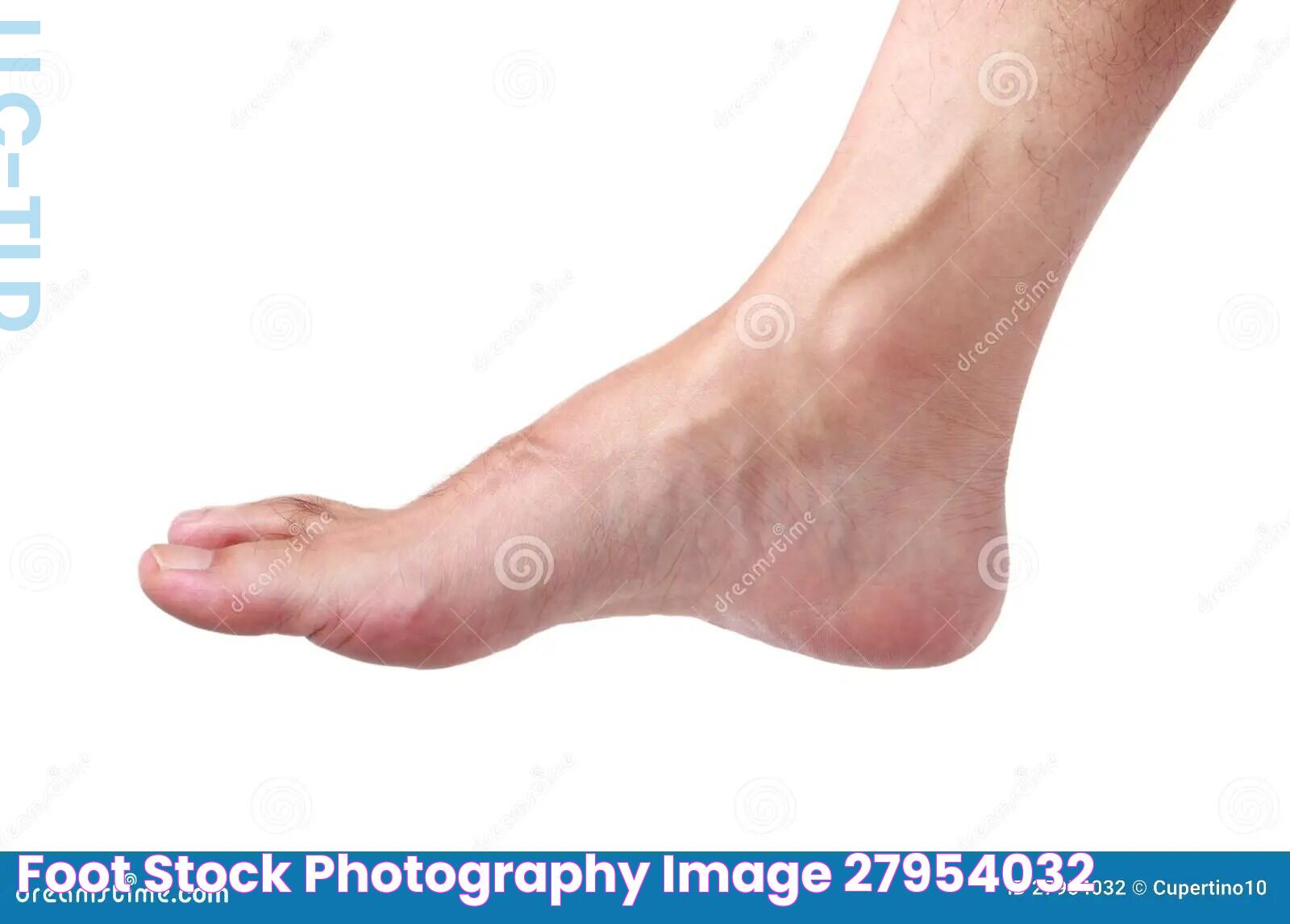 Foot Stock Images: High-Quality Visuals For Every Need