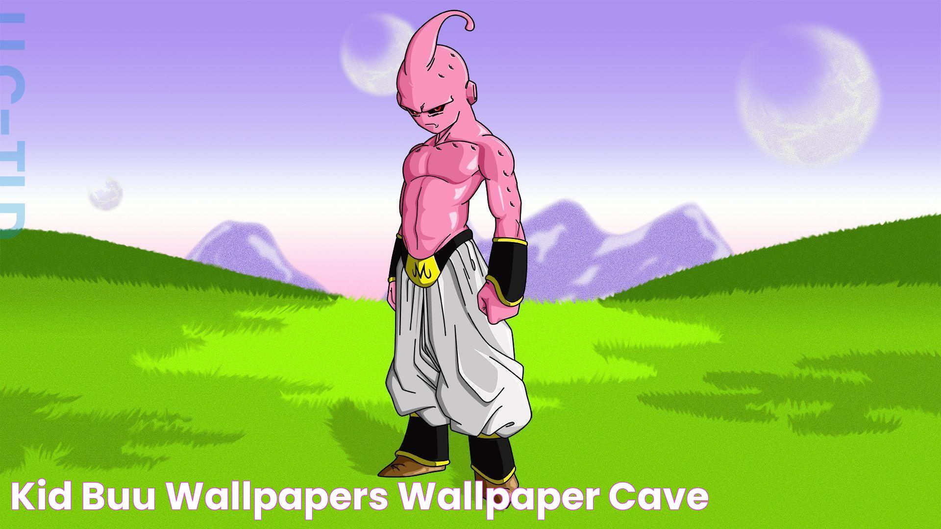 Unveiling The Mysterious World Behind Kid Buu Clone