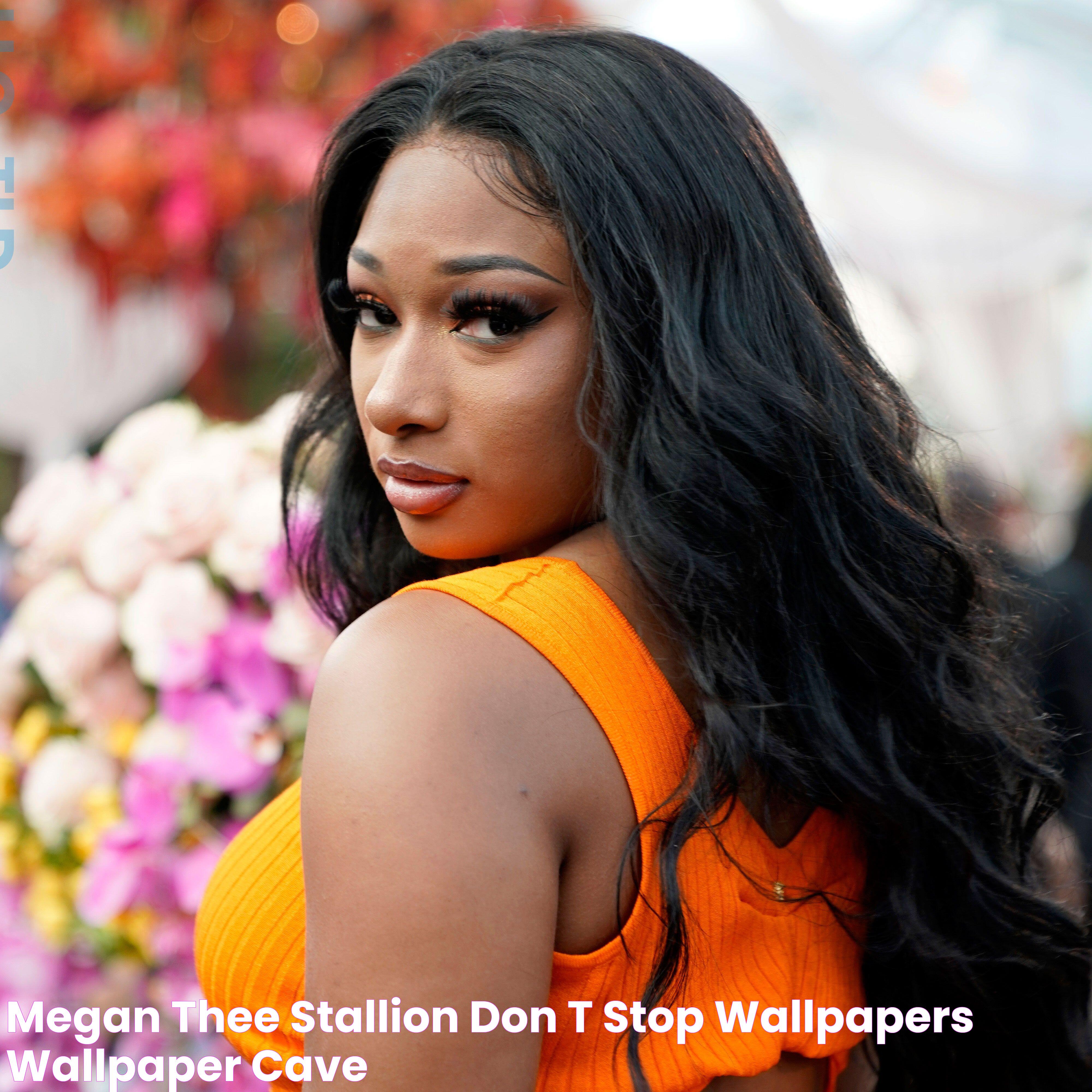 The Origins And Rise Of Megan Thee Stallion: From Houston To Stardom