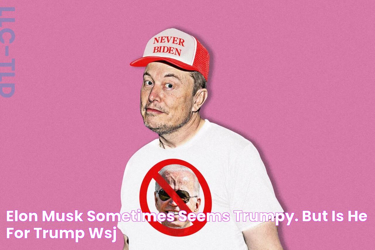 Elon Musk Sometimes Seems Trumpy. But Is He for Trump? WSJ