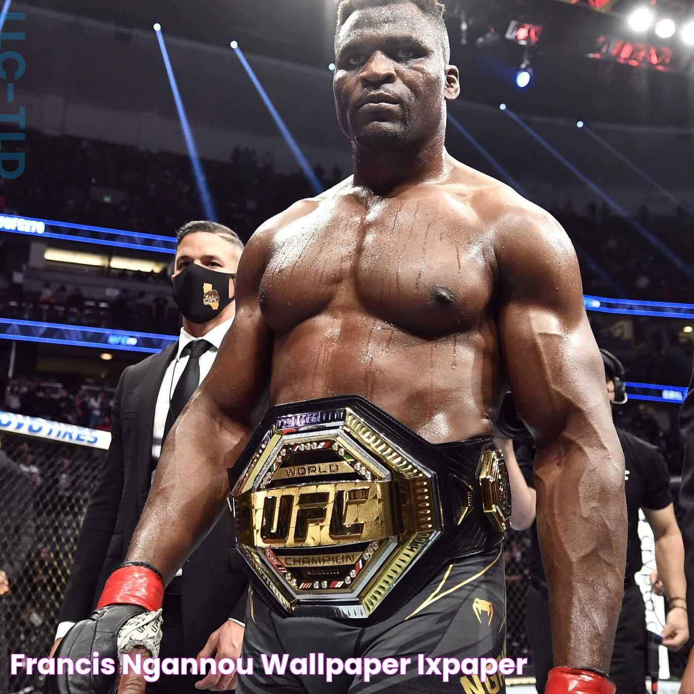 Francis Ngannou Wallpaper IXpaper