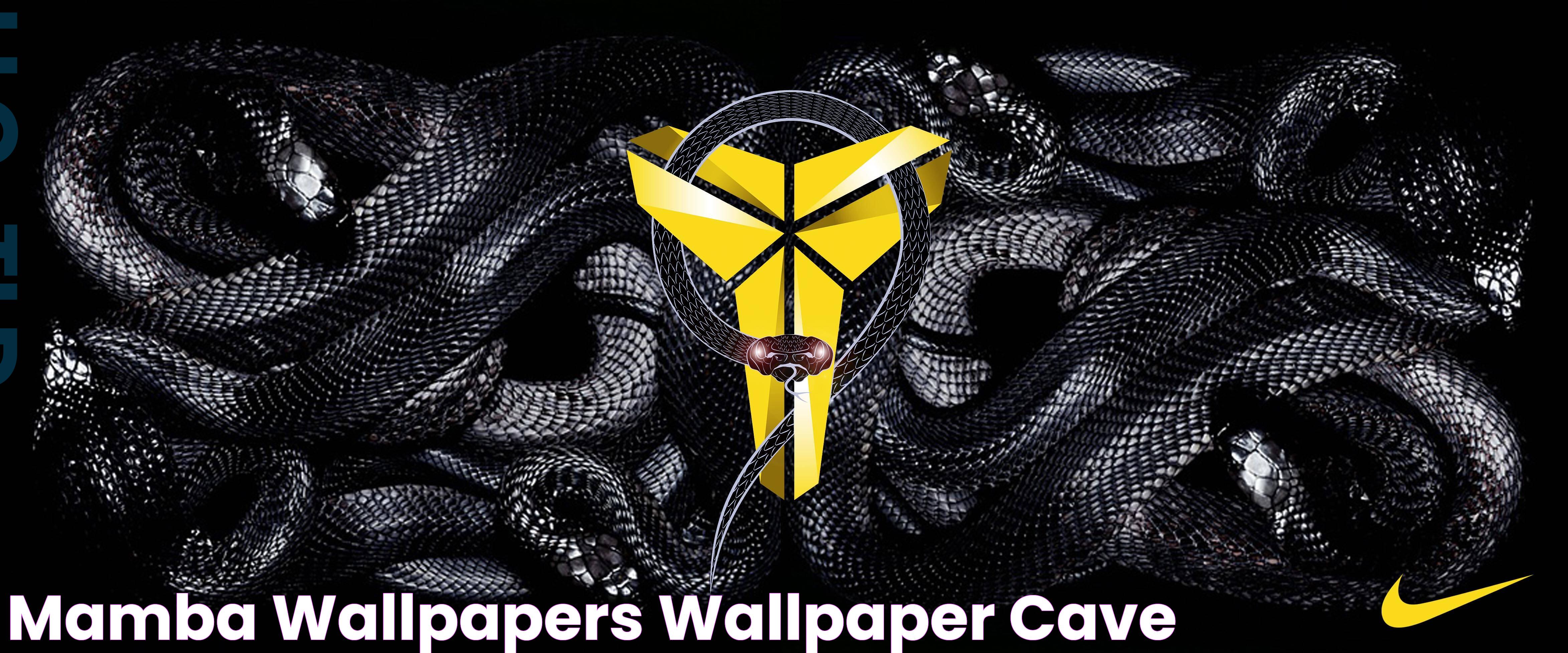 Mamba Wallpapers Wallpaper Cave