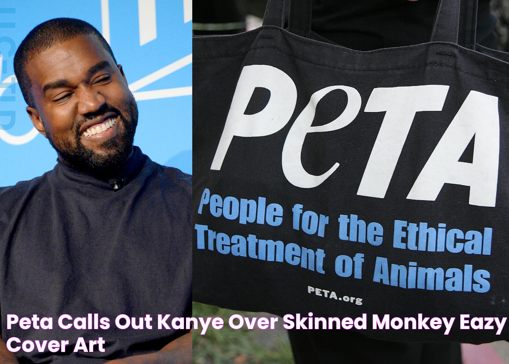 The Curious Tale Of Kanye Skinned Monkey