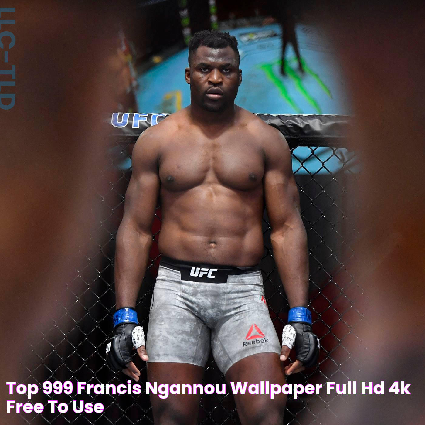 Boosting Wealth: Francis Ngannou Earnings Revealed