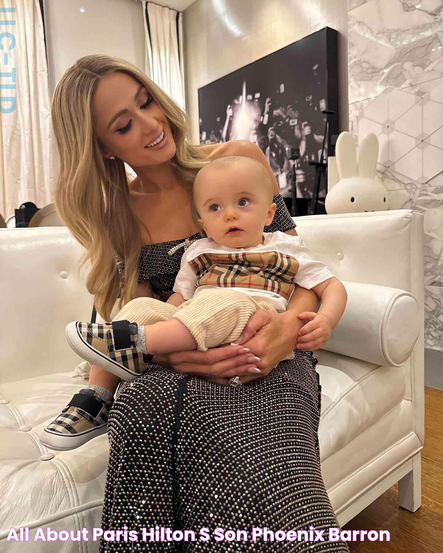 All About Paris Hilton's Son Phoenix Barron