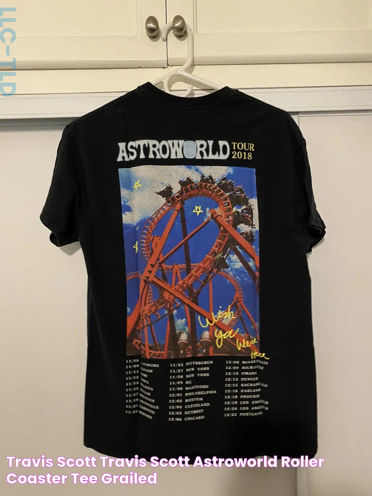 Ultimate Guide To The Astroworld Roller Coaster Experience